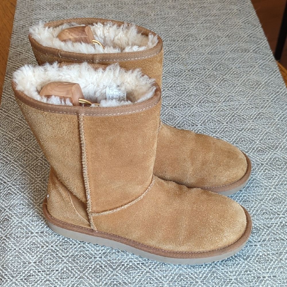 UGG Short Chestnut Suede Boots With Plush Lining